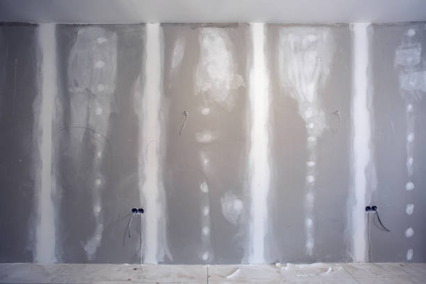 Best Fire-Damaged Drywall Repair  in Wautoma, WI